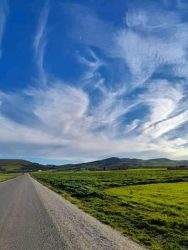 Lire la suite à propos de l’article Le Kef : récupération de 3 lots domaniaux agricoles d&rsquo;une superficie de 23 he.