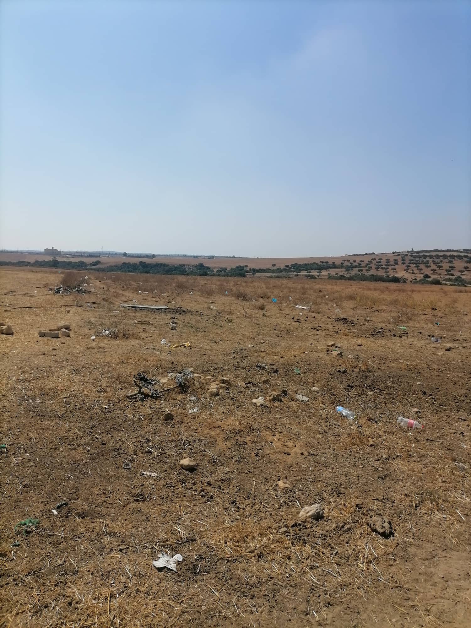 You are currently viewing نابل : الدّولة تسترجع 223,5 هك.