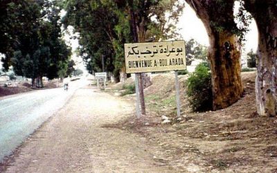 Read more about the article ولاية سليانة : وزارة أملاك الدّولة تسترجع عقارين دوليين فلاحيين بمساحة 25 هك.