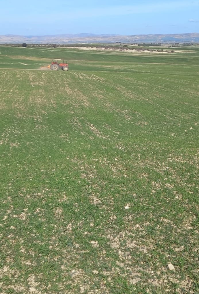 You are currently viewing وزارة أملاك الدّولة تسترجع عقارا دوليا فلاحيا بمساحة 35 هك بمعتمدية سيدي بورويس من ولاية سليانة.